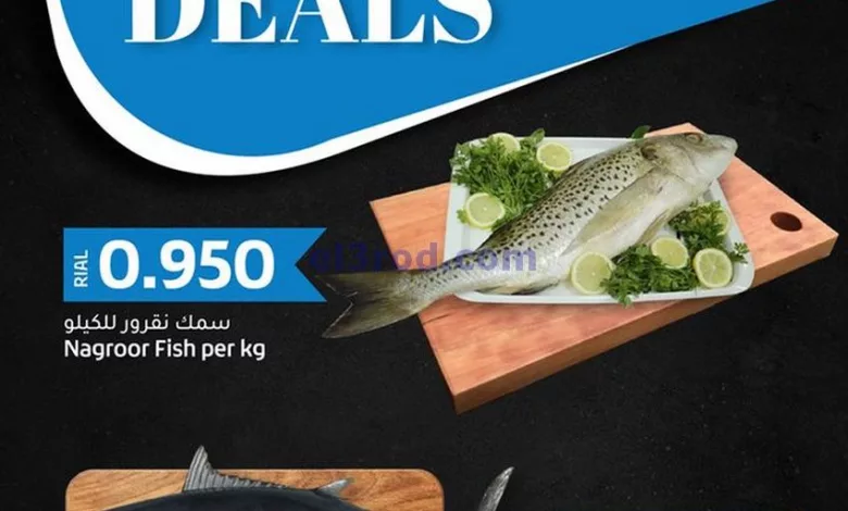el3rod.com00001-379