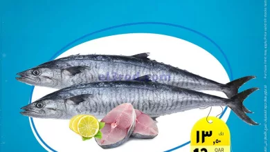 el3rod.com00001-480