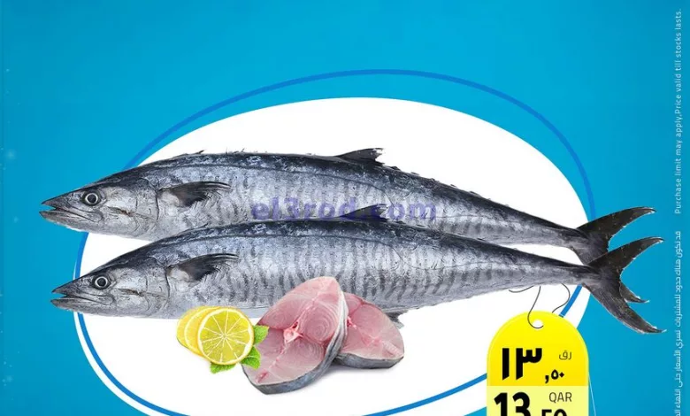el3rod.com00001-480