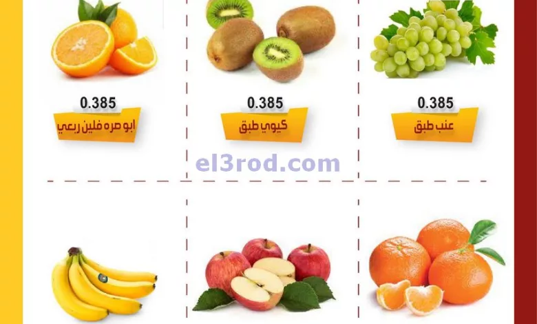 el3rod.com00001-503