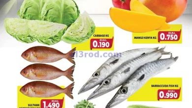 el3rod.com00001-536