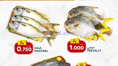 el3rod.com00001-545