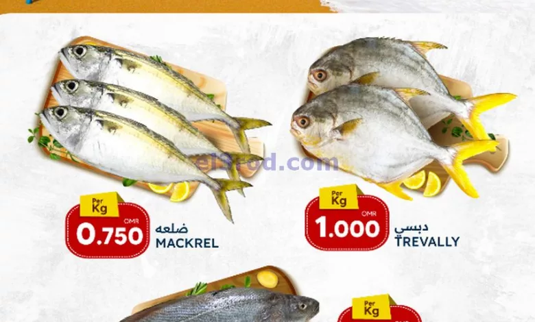 el3rod.com00001-545