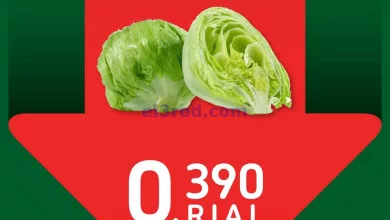el3rod.com00001-550