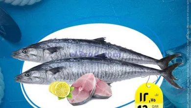 el3rod.com00001-573