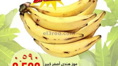 el3rod.com00001-597