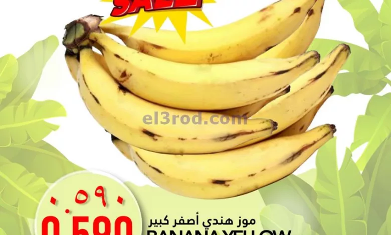 el3rod.com00001-597