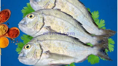el3rod.com00001-601