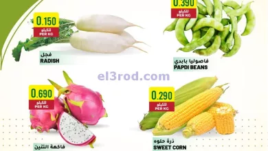 el3rod.com00001-606