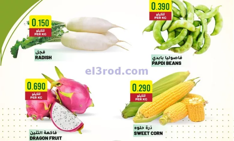 el3rod.com00001-606