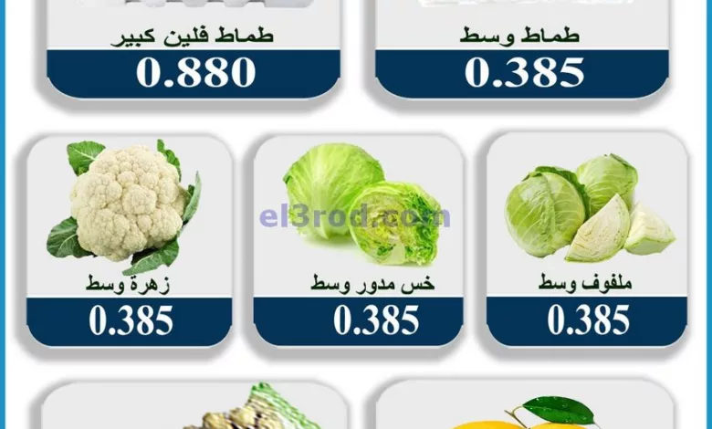 el3rod.com00002-595