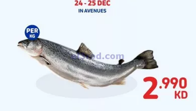 el3rod.com00003-872
