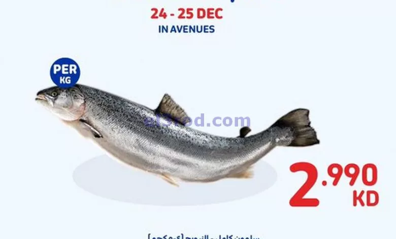 el3rod.com00003-872