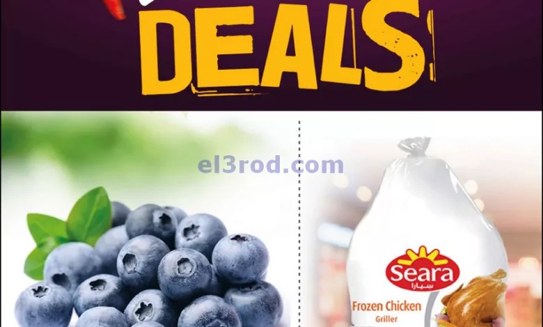 عروض سفارى قطر|20-12-2023|صفقات el3rod.com00005-532