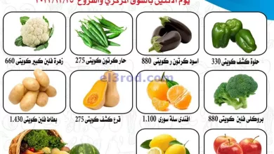 el3rod.com00006-616