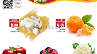 el3rod.com00001-1037