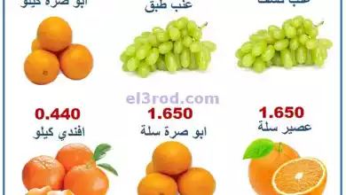 el3rod.com00001-11