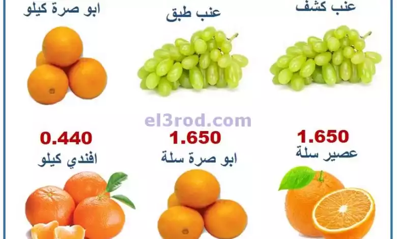 el3rod.com00001-11