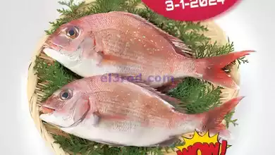 el3rod.com00001-131