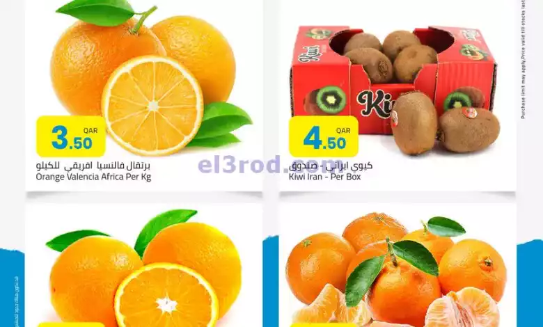 el3rod.com00001-240