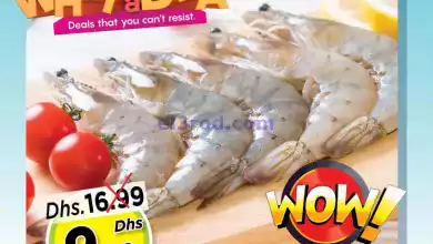 el3rod.com00001-290