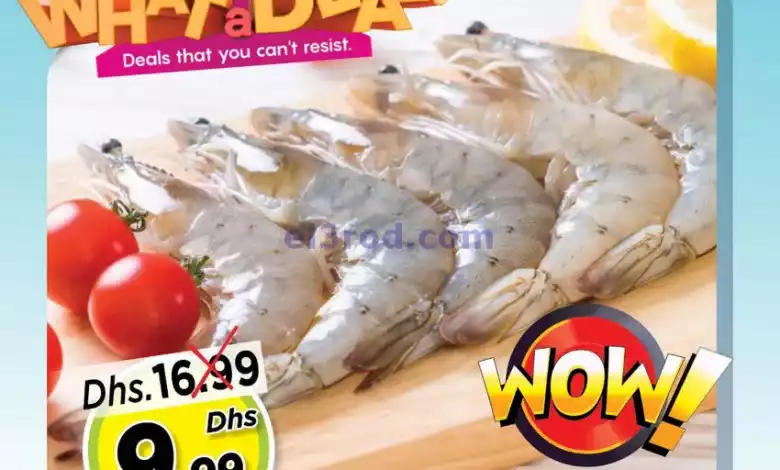 عروض مجلة نستو ابو شغارة|6-1-2024|السبت el3rod.com00001-290