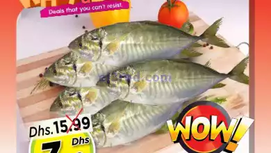 el3rod.com00001-307
