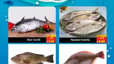 el3rod.com00001-324