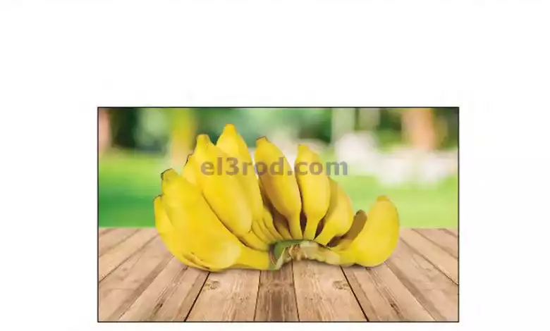 el3rod.com00001-331
