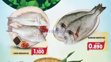 el3rod.com00001-345