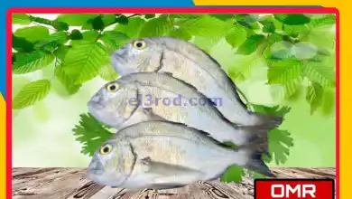 el3rod.com00001-347