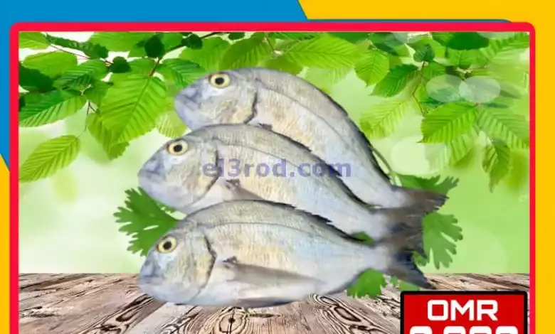 el3rod.com00001-347
