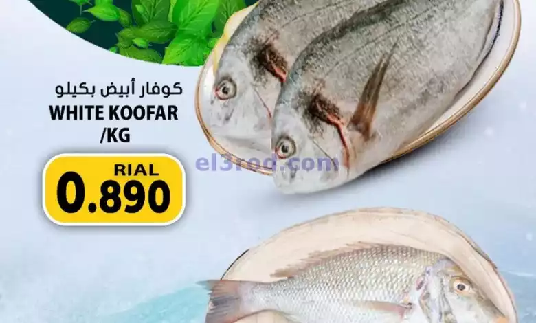 el3rod.com00001-356