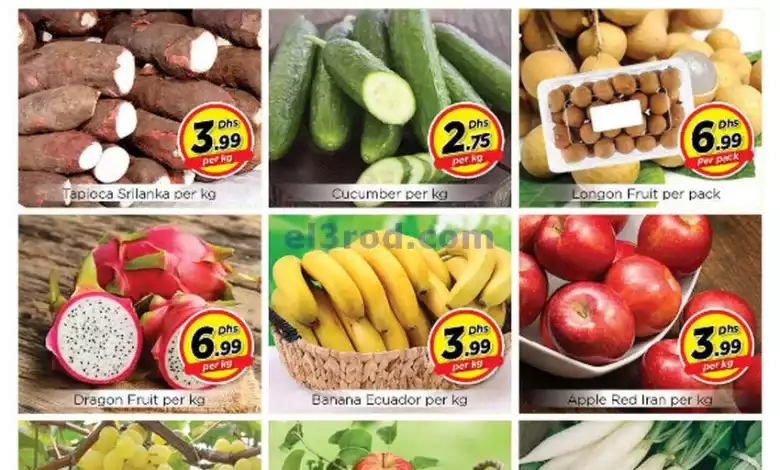 عروض مجلة نستو ابو شغارة|7-1-2024|فريش el3rod.com00001-364