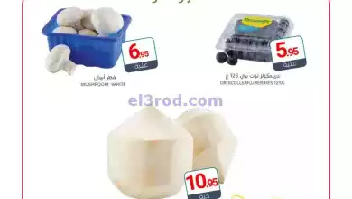 el3rod.com00001-365