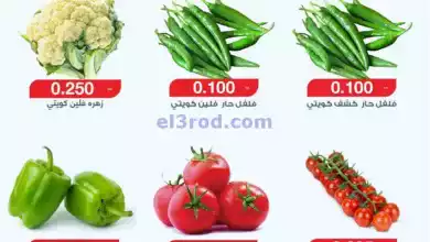 el3rod.com00001-374