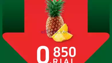 el3rod.com00001-380