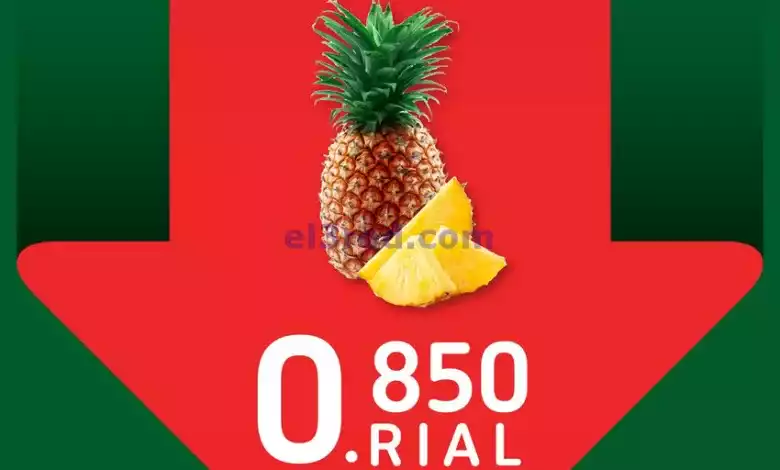 el3rod.com00001-380