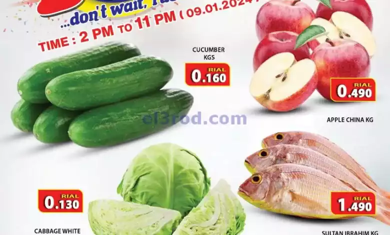 el3rod.com00001-488