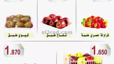 el3rod.com00001-502