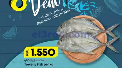 el3rod.com00001-663