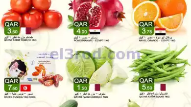el3rod.com00001-671