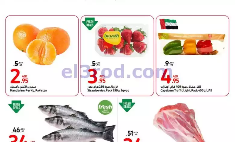 el3rod.com00001-676