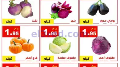 el3rod.com00001-704