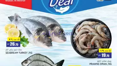 el3rod.com00001-73