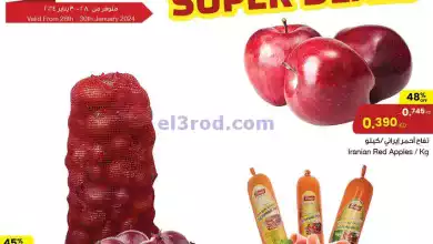 el3rod.com00001-748