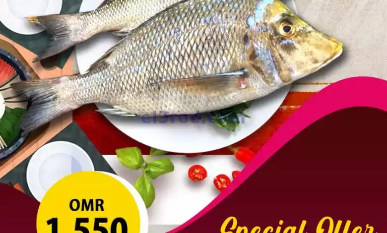 el3rod.com00001-997