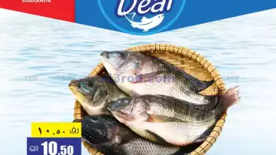 el3rod.com00002-60