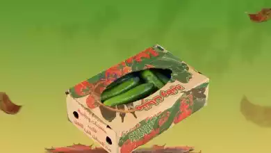 el3rod.com00003-592