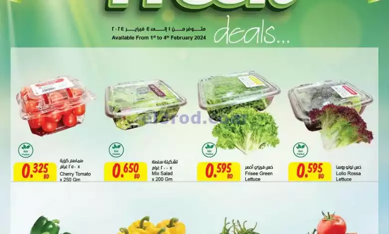 el3rod.com00001-105